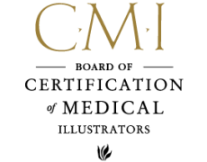 Certified Medical Illustrator, CMI