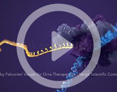 Orna Therapeutics Splash Animation